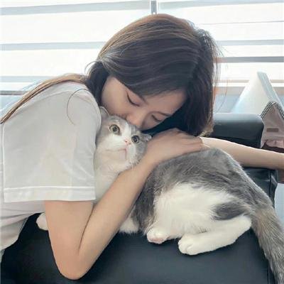 小猫钓鱼
